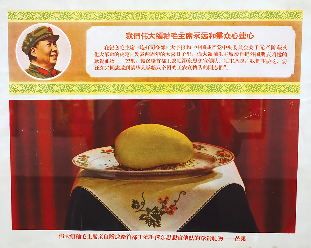 A mango given by Mao Zedong