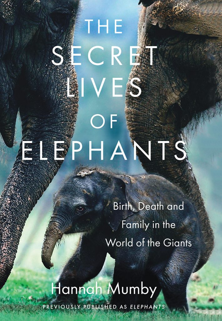 Cover of The Secret Lives of Elephants: Birth, Death and Family in the World of the Giants