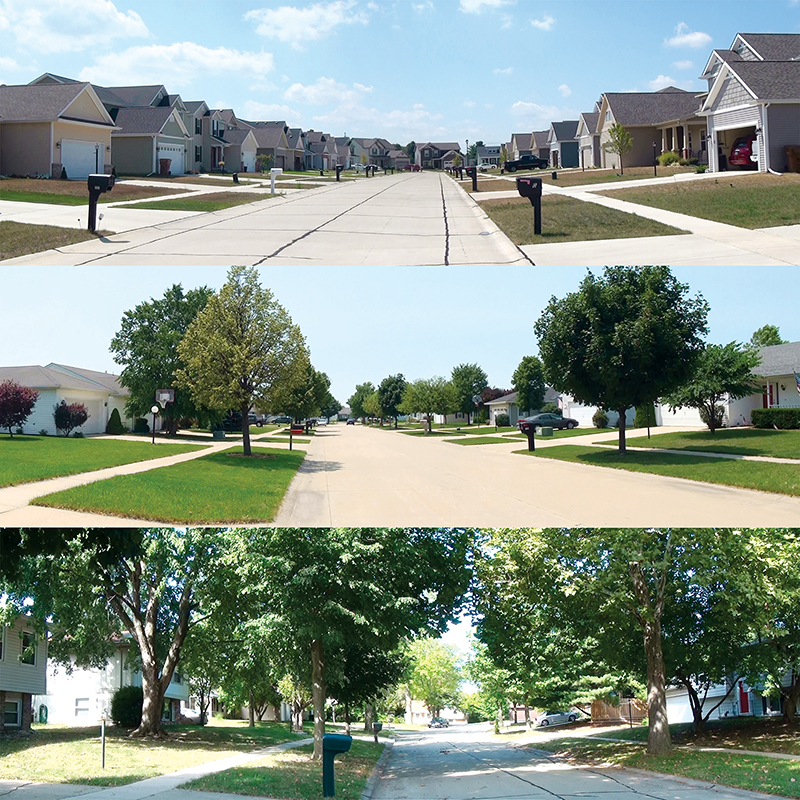 Streetscapes with low, moderate and high tree cover density