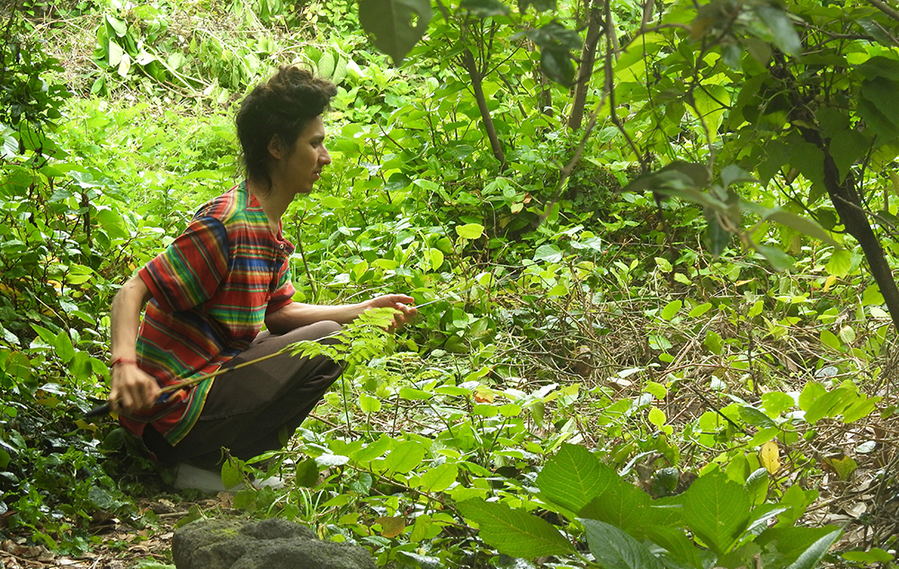 Dr Félix Landry Yuan in the forest