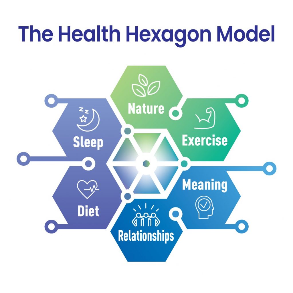 Health Hexagon Model